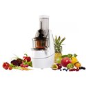 Siméo Extracteur de Jus Pj555