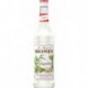 Monin Gingembre 70cl (lot de 5)