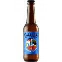 Gallia BIERE DE TRAVAIL 33CL