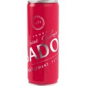 Badoit Rouge Slim 33cl (pack de 24)