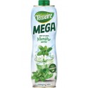 Teisseire MEGA MENTHE 1,3L