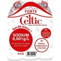 CELTIC Eau minérale gazeuse 6 x 1,5 L (pack de 6)