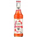 Monin Sirop Bubble Gum 33cl