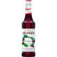 Monin Cerise 1L