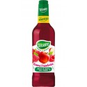 Boisson à diluer Pomme Framboise Teisseire 48cl