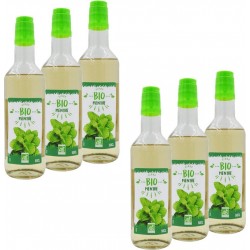AGIDRA Sirop De Menthe Bio France Bouteille 50cl