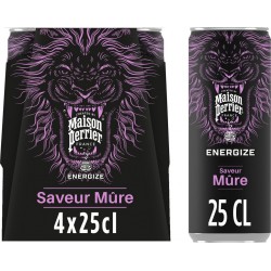 PERRIER Boisson Énergisante Saveur Mûre 4x25cL (pack de 4)