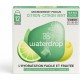 WATERDROP Sirop Thé Glacé Citron vert x12