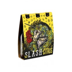 SLASH Bière Aromatisée Citrus 4,5% SLASH